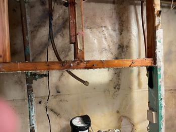 Mold and water damage on basement wall framing